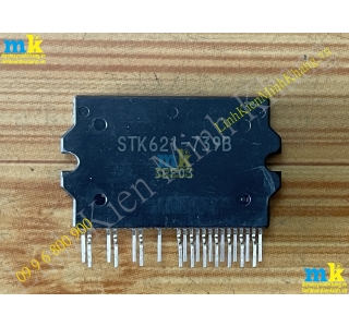 STK621-739B